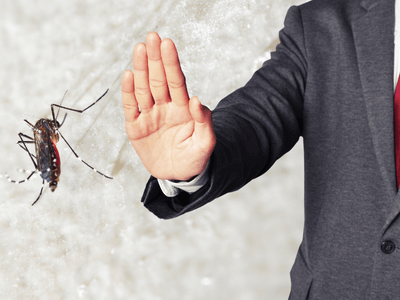 About Urban cura - pest control experts in Melbourne